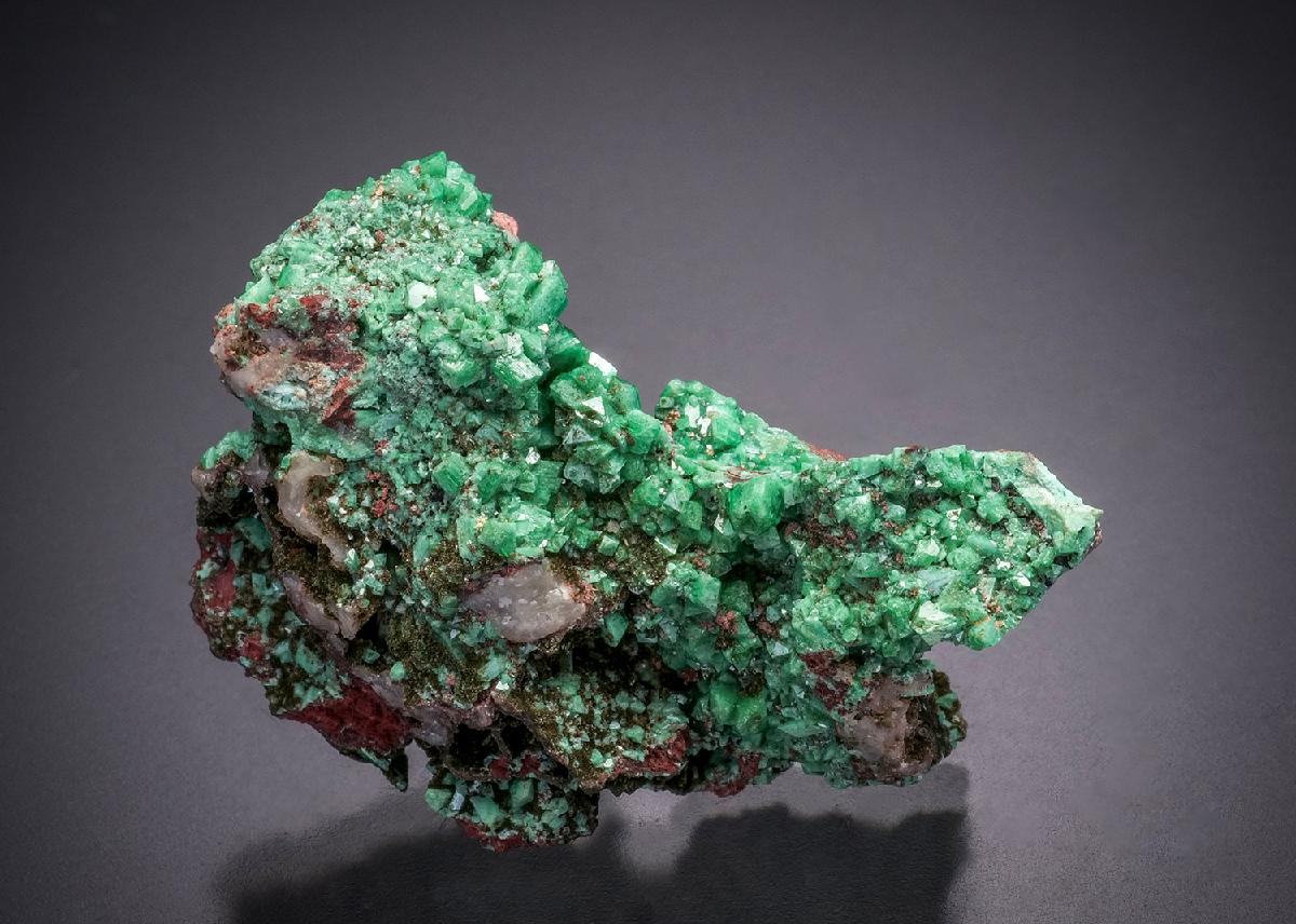CC32536 specimen image