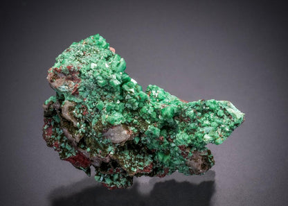 CC32536 specimen image