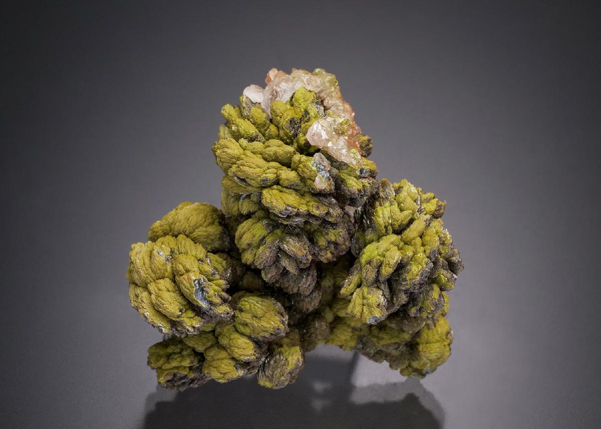CC32539 specimen image