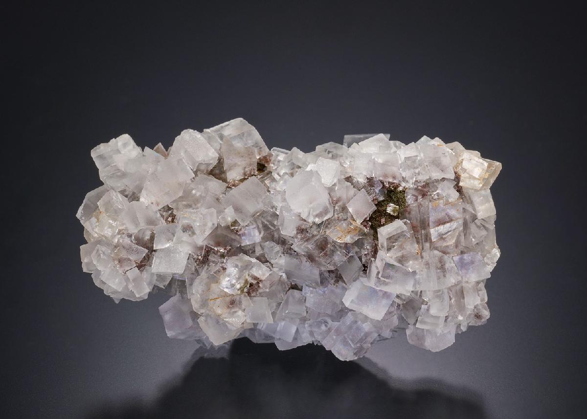 CC32563 specimen image