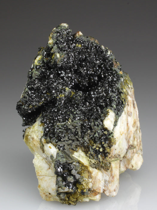 CC3263 specimen image
