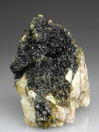 CC3263 specimen image