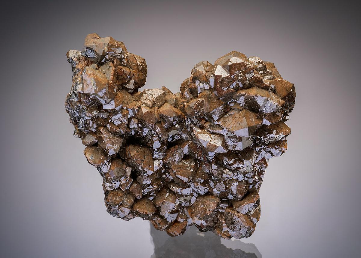 CC32674 specimen image