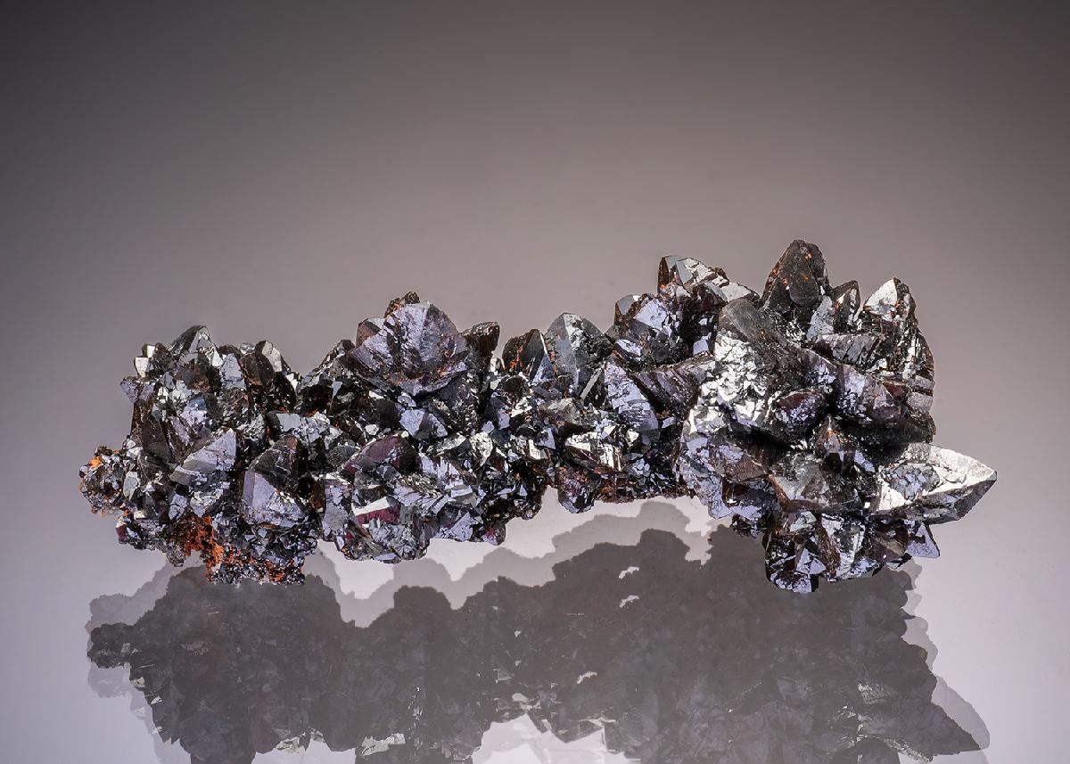 CC32677 specimen image