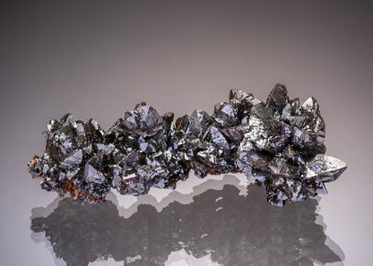 CC32677 specimen image