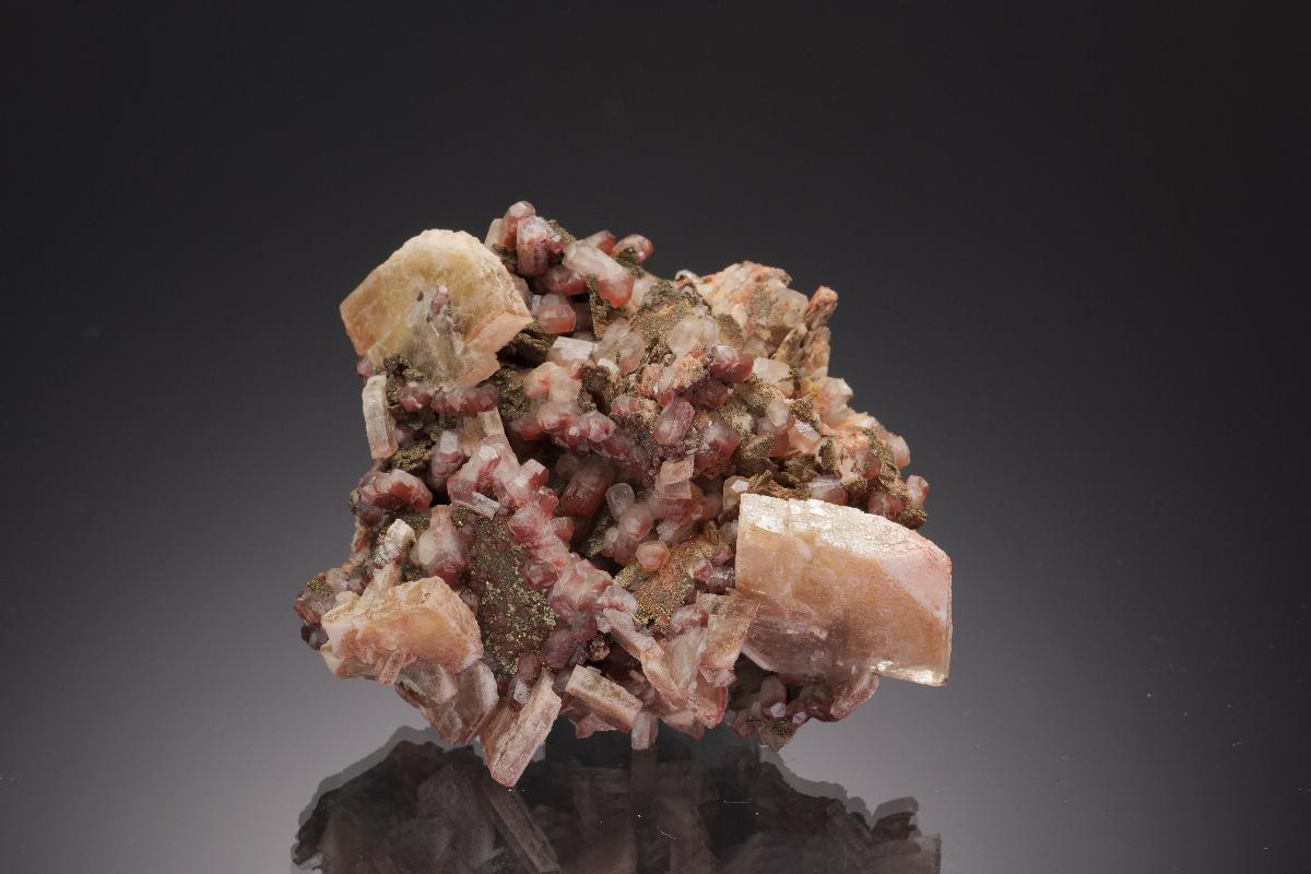 CC32689 specimen image