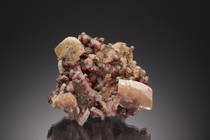 CC32689 specimen image