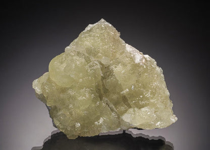 CC32728 specimen image