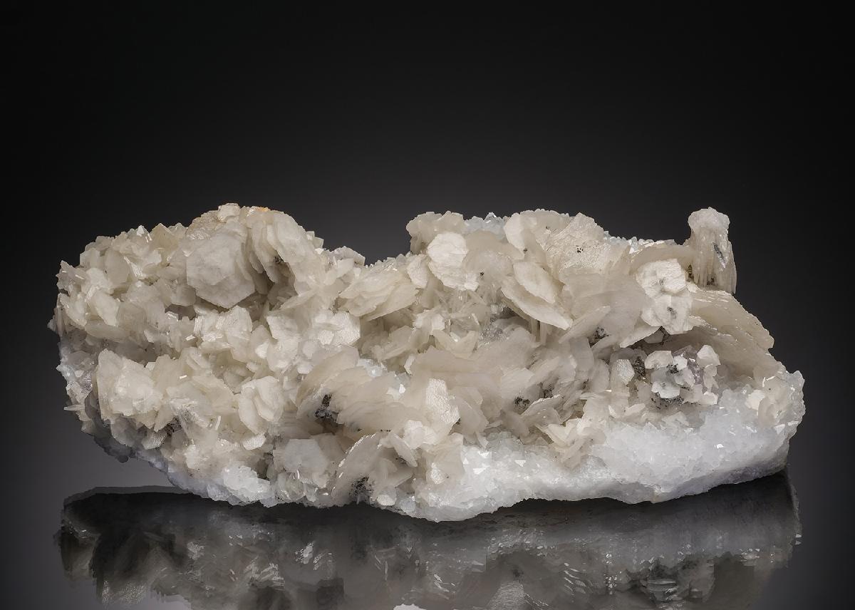 CC32842 specimen image