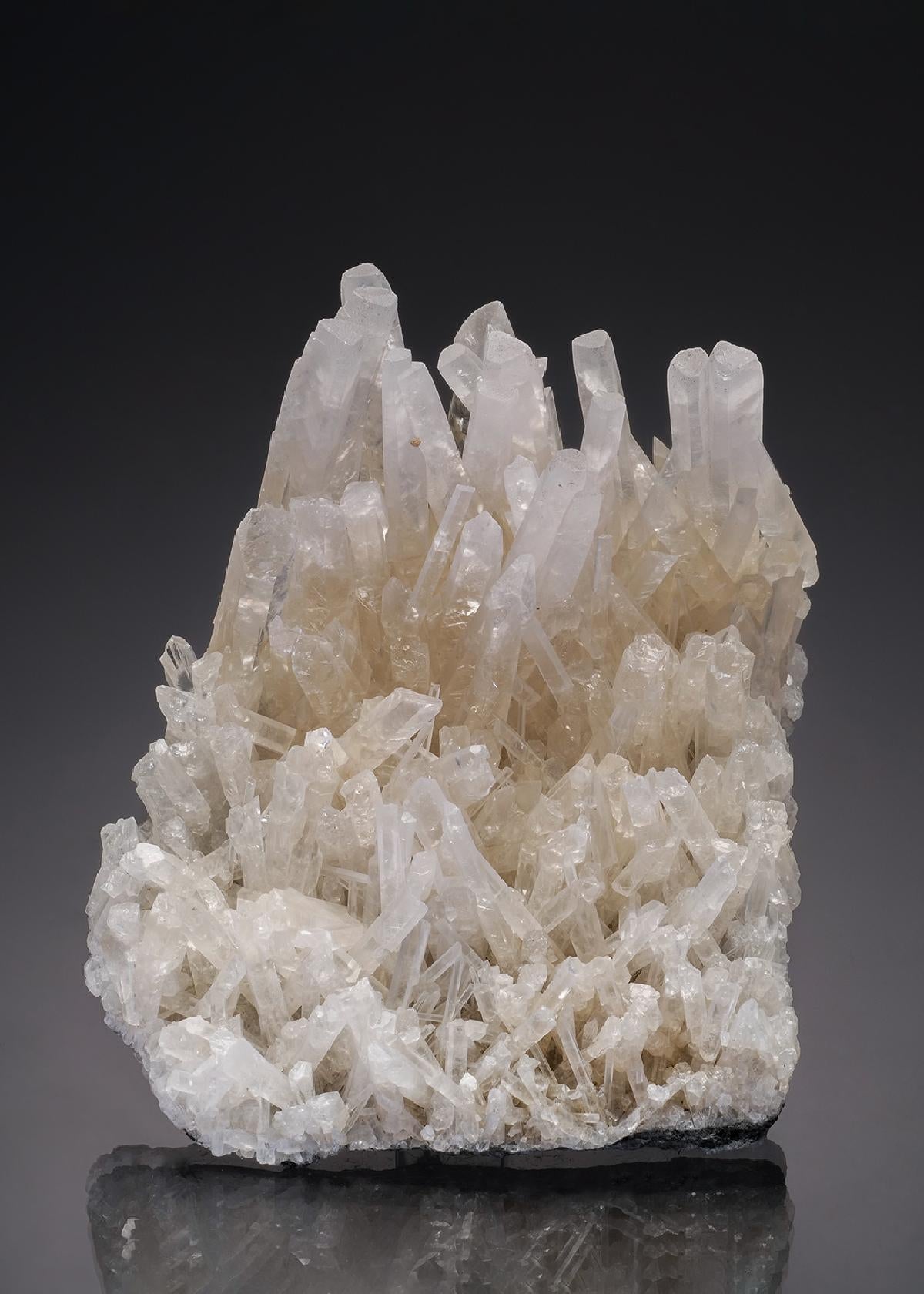 CC32872 specimen image