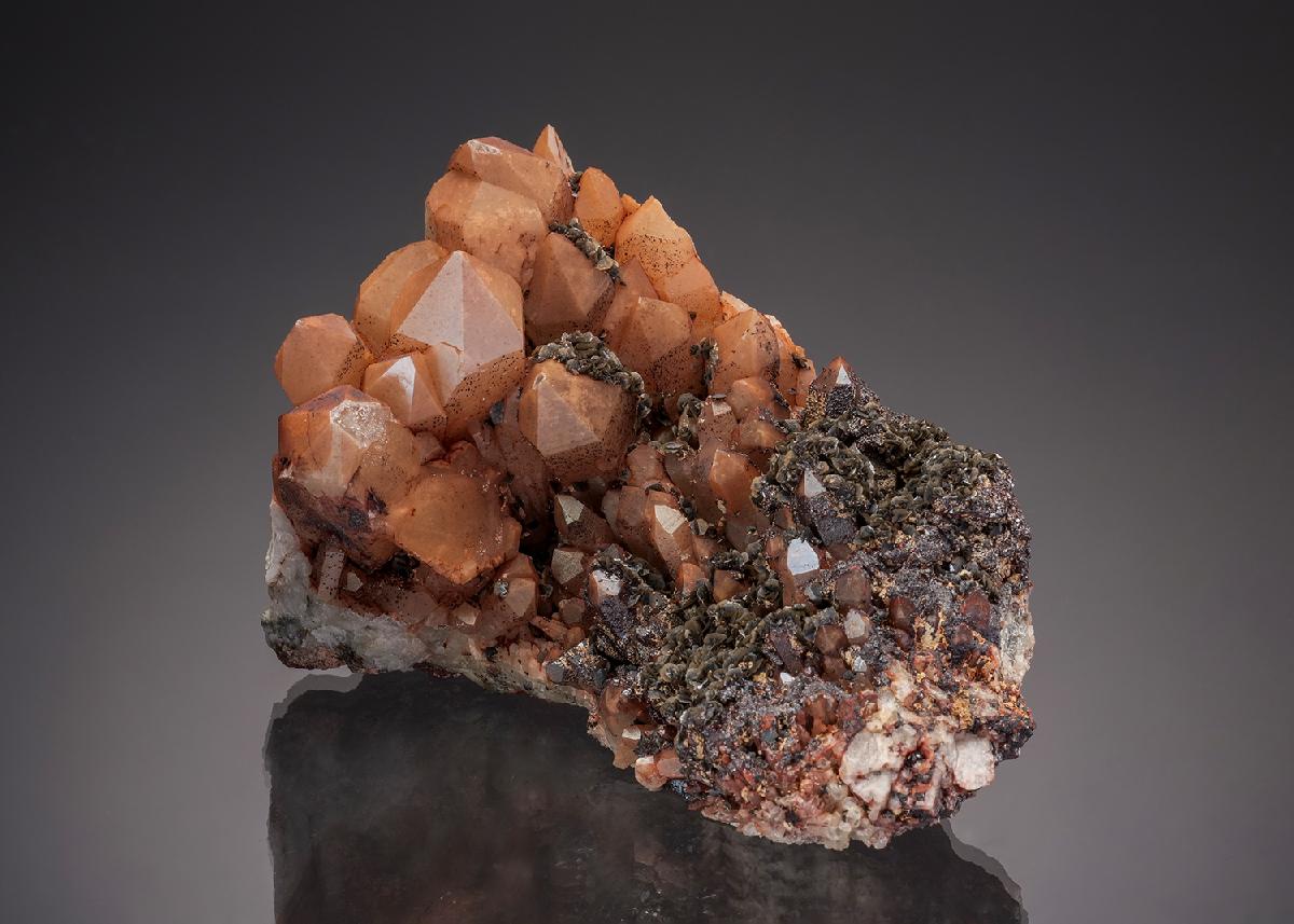 CC32890 specimen image