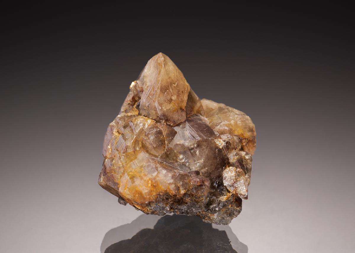 CC32908 specimen image