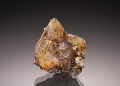 CC32908 specimen image