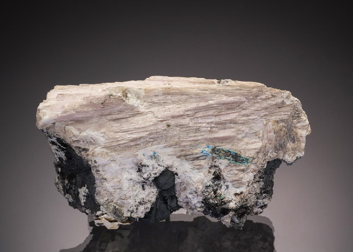 CC32923 specimen image