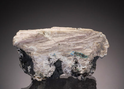 CC32923 specimen image