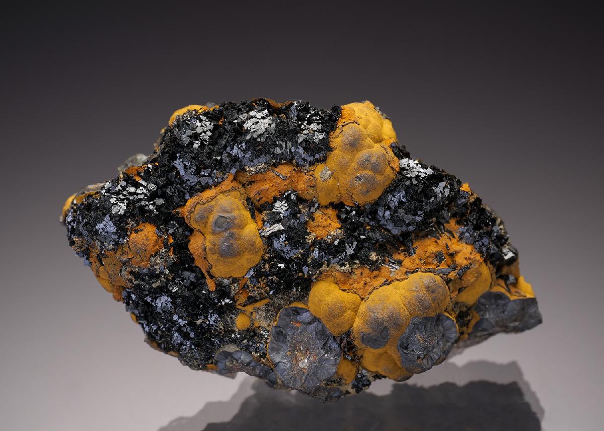CC32944 specimen image