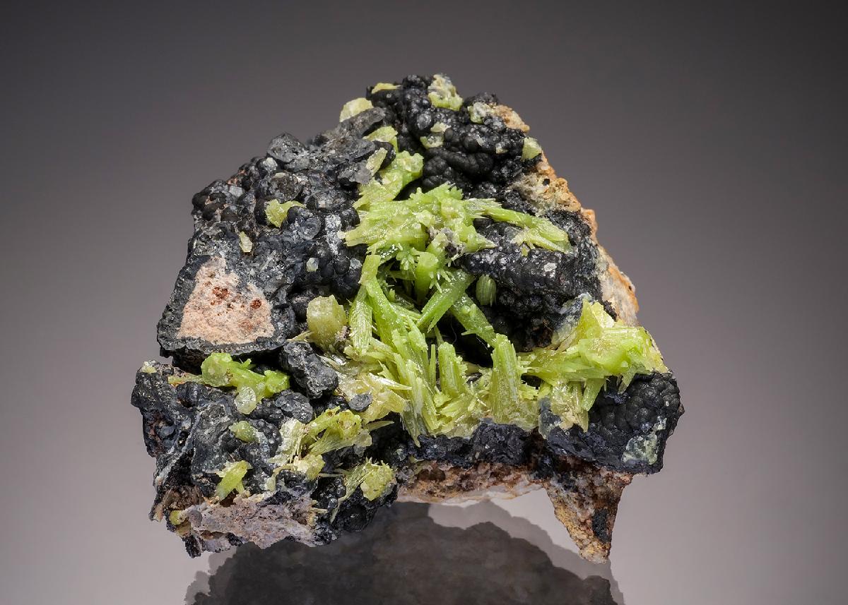 CC32959 specimen image