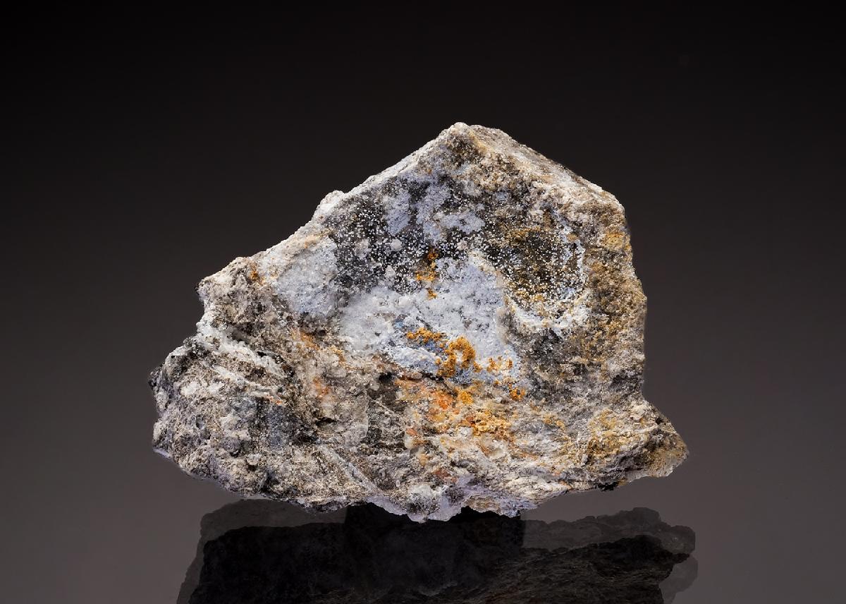 CC33019 specimen image