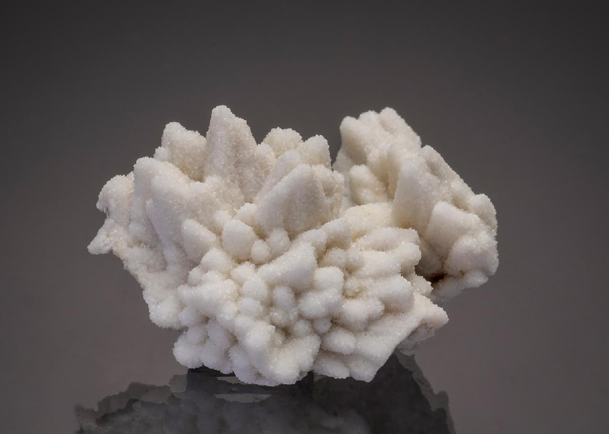 CC33031 specimen image