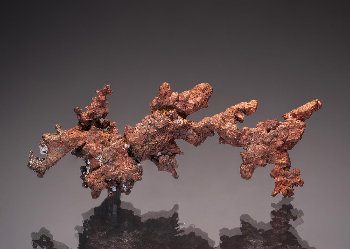 CC33040 specimen image