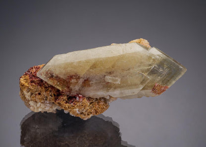 CC33052 specimen image