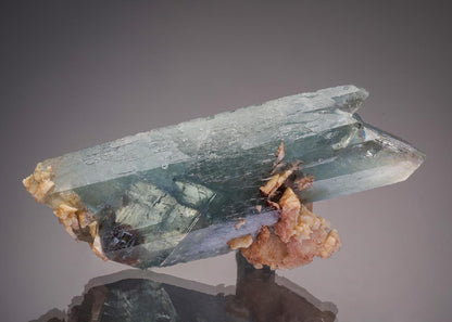 CC33067 specimen image