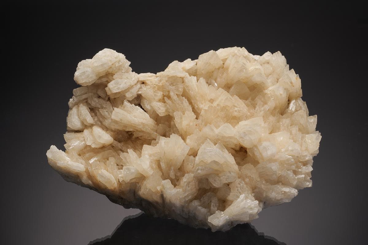 CC33100 specimen image