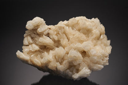CC33100 specimen image
