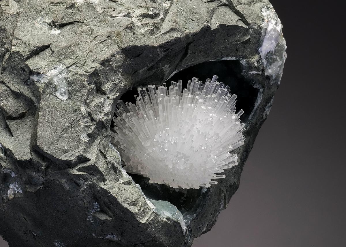 CC33136 specimen image