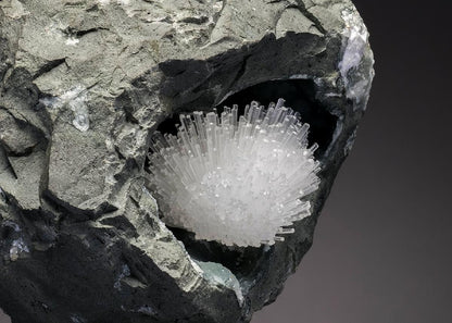 CC33136 specimen image