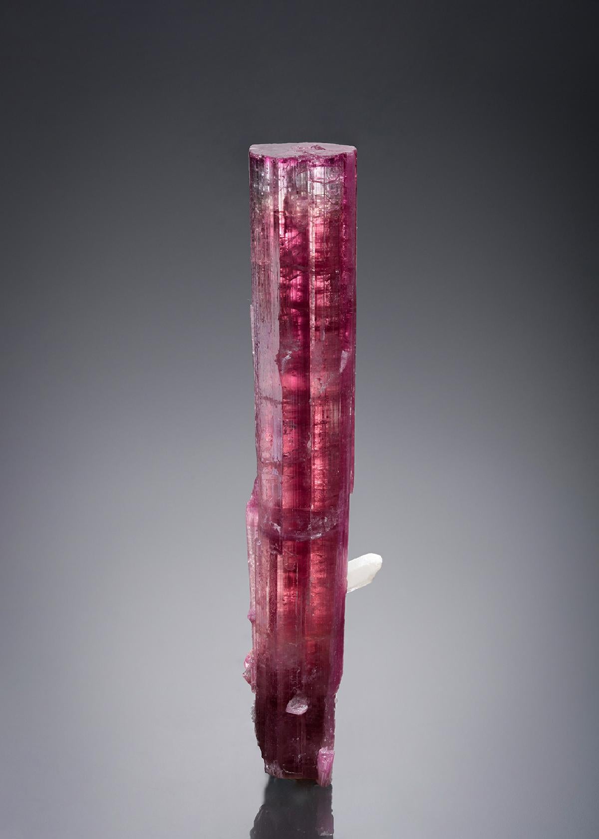 CC33196 specimen image