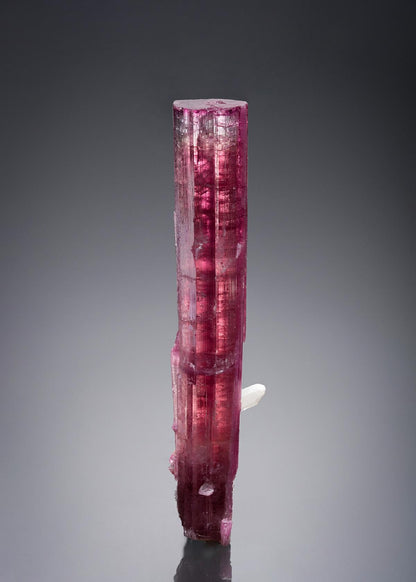 CC33196 specimen image