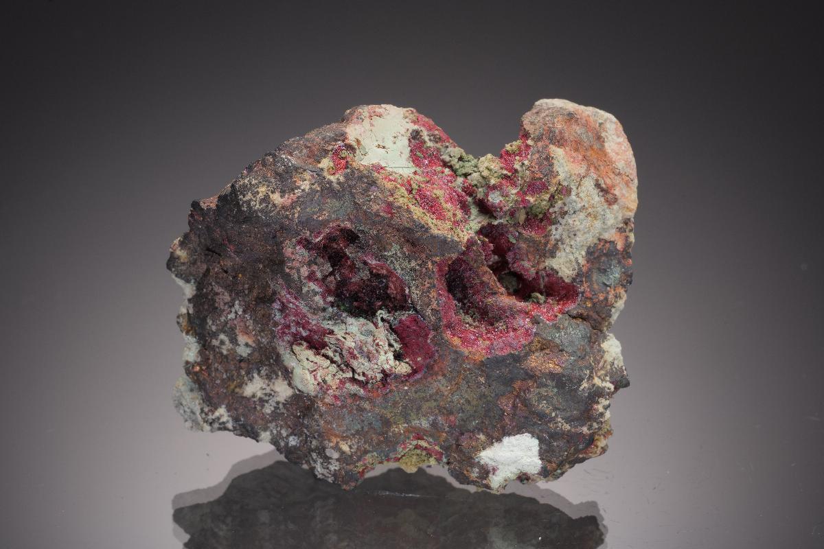 CC33238 specimen image