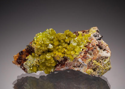 CC33241 specimen image