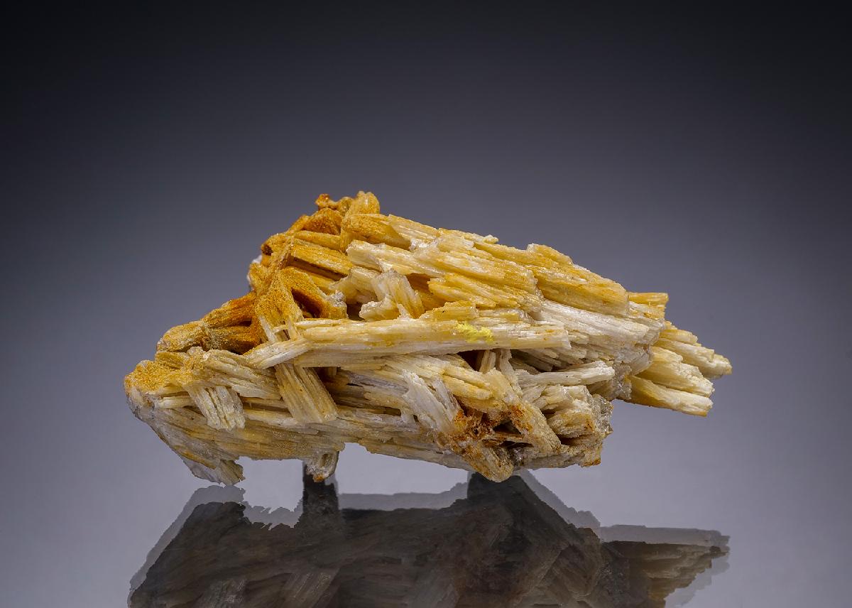 CC33410 specimen image