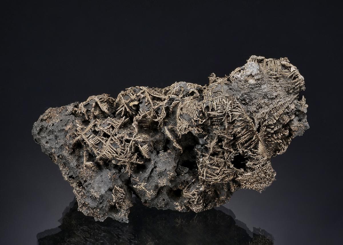 CC33465 specimen image
