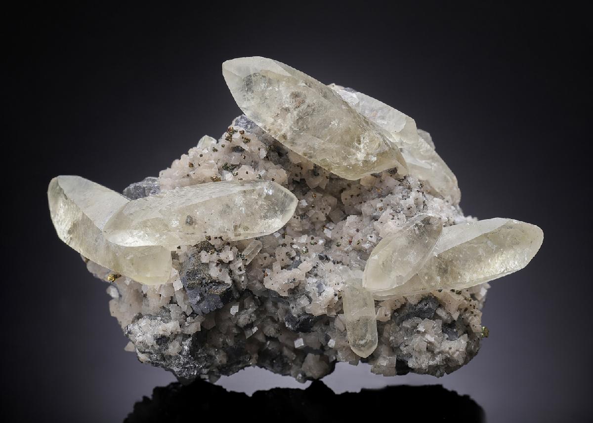 CC33495 specimen image