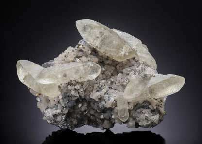 CC33495 specimen image