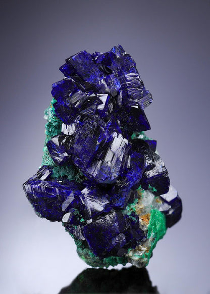 CC33792 specimen image