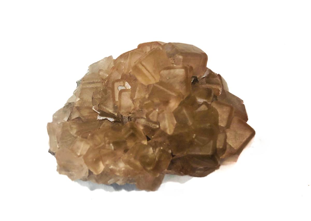CC33903 specimen image