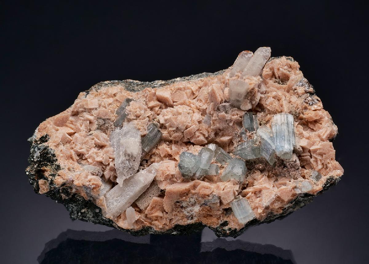 CC33930 specimen image