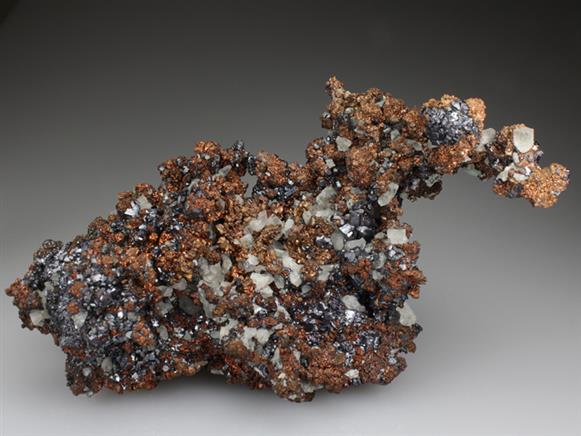 CC3394 specimen image