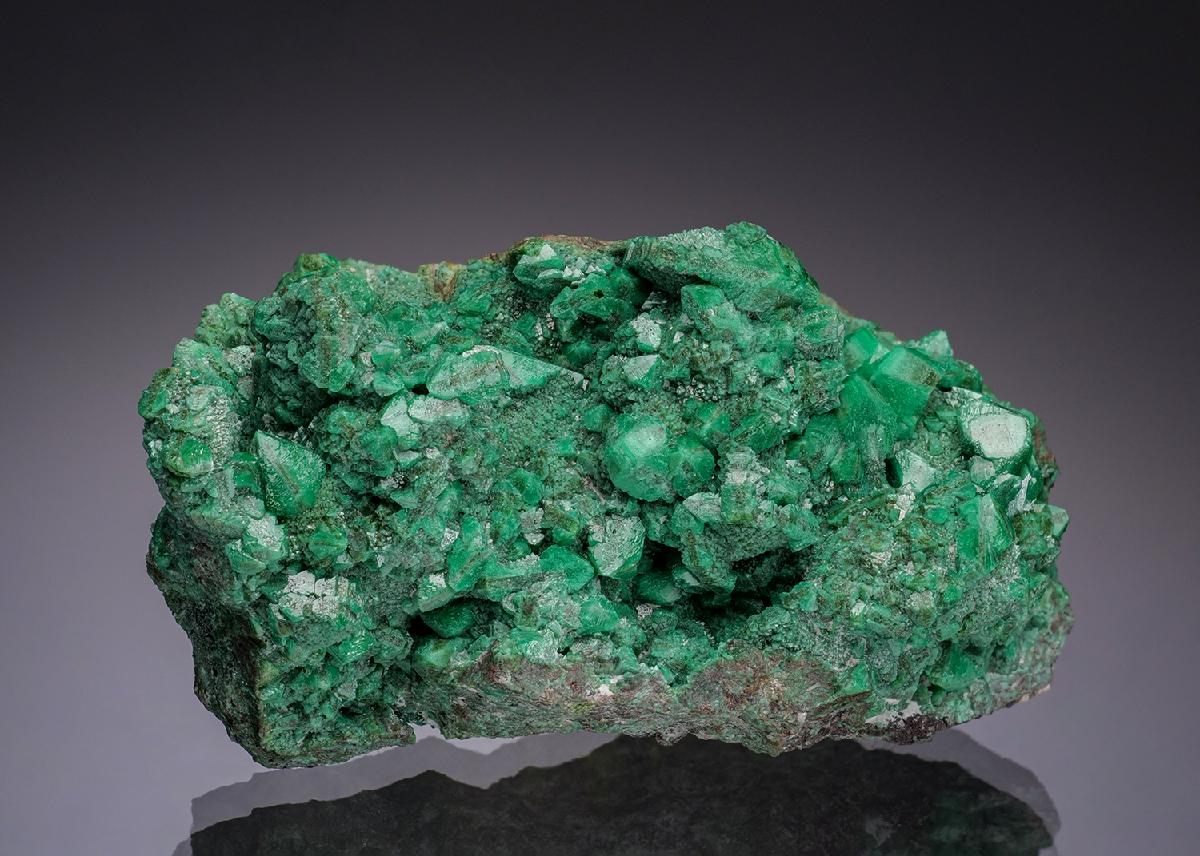 CC34035 specimen image