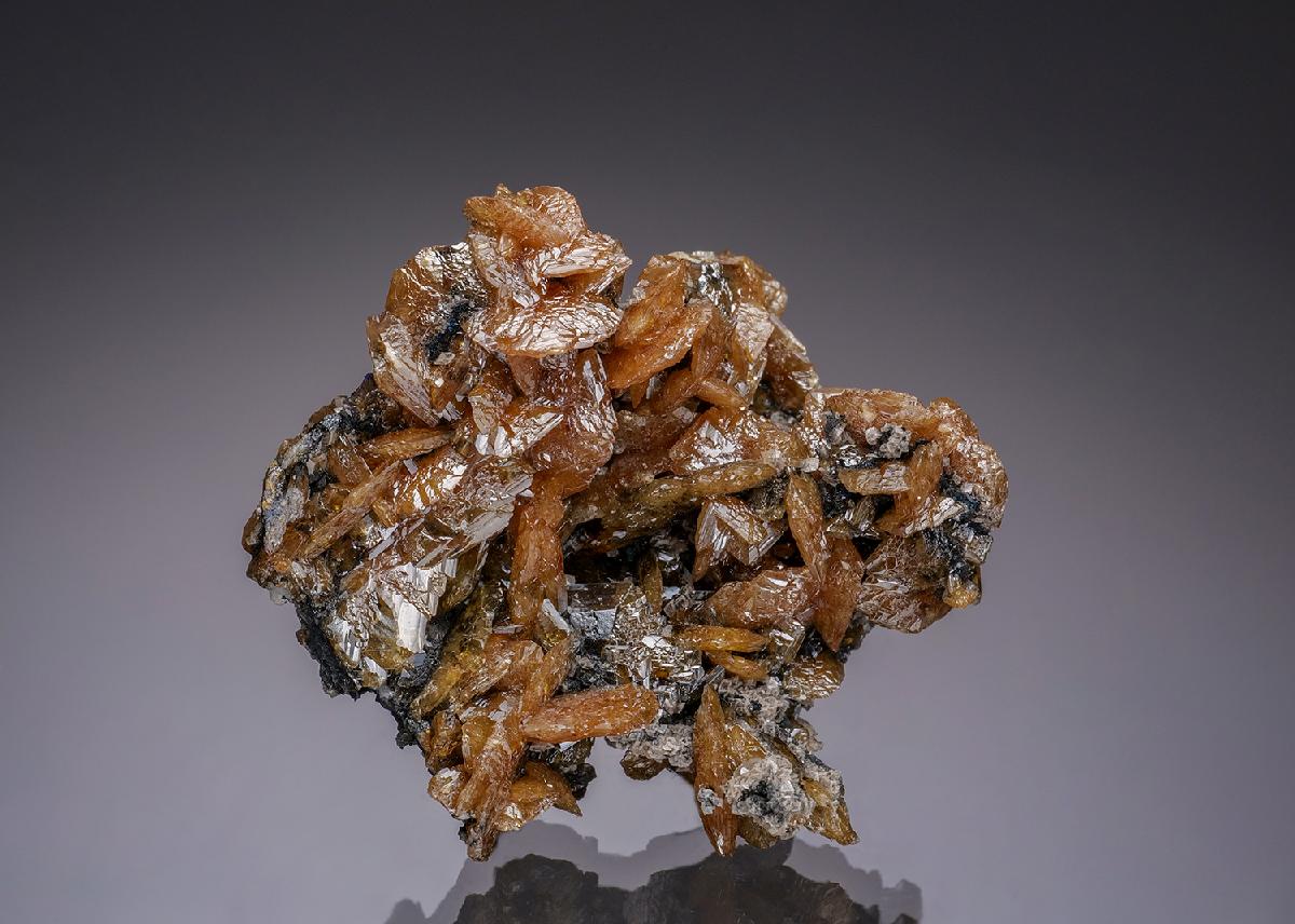 CC34047 specimen image