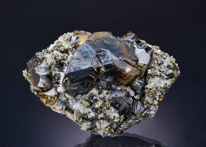 CC34140 specimen image