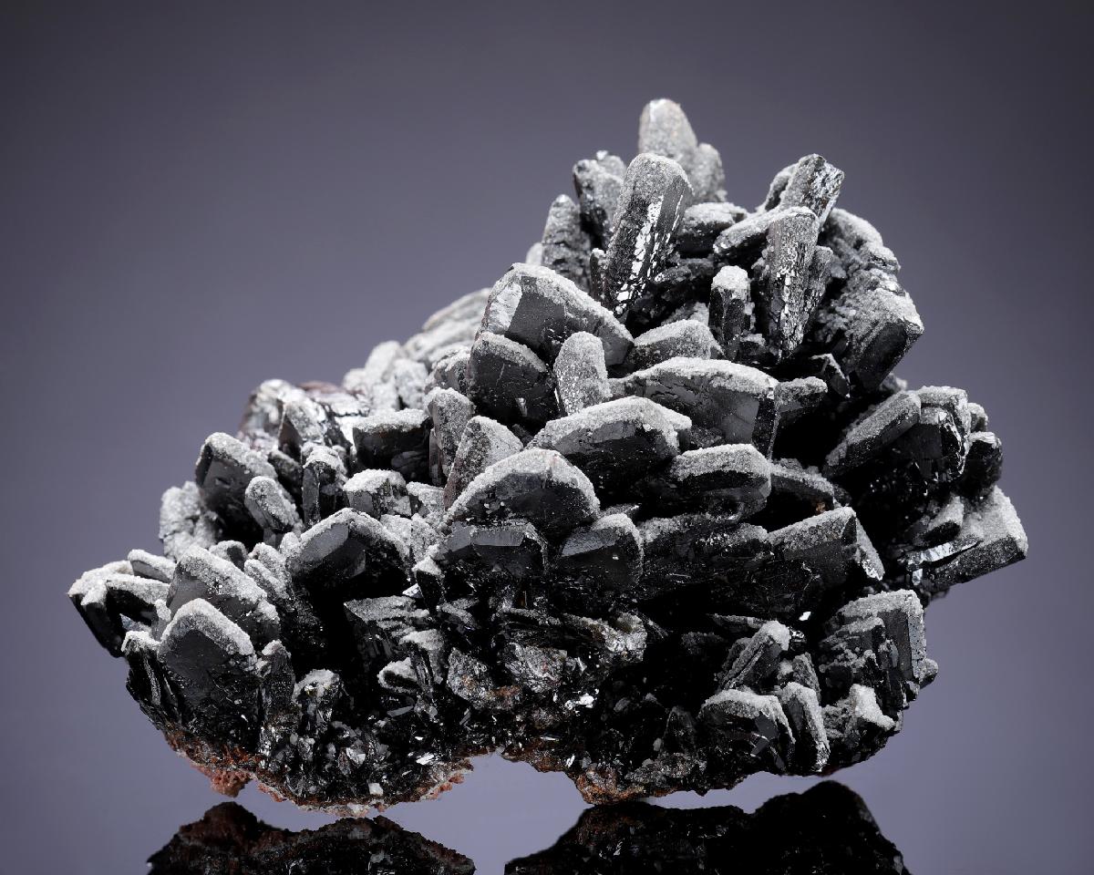 CC34188 specimen image