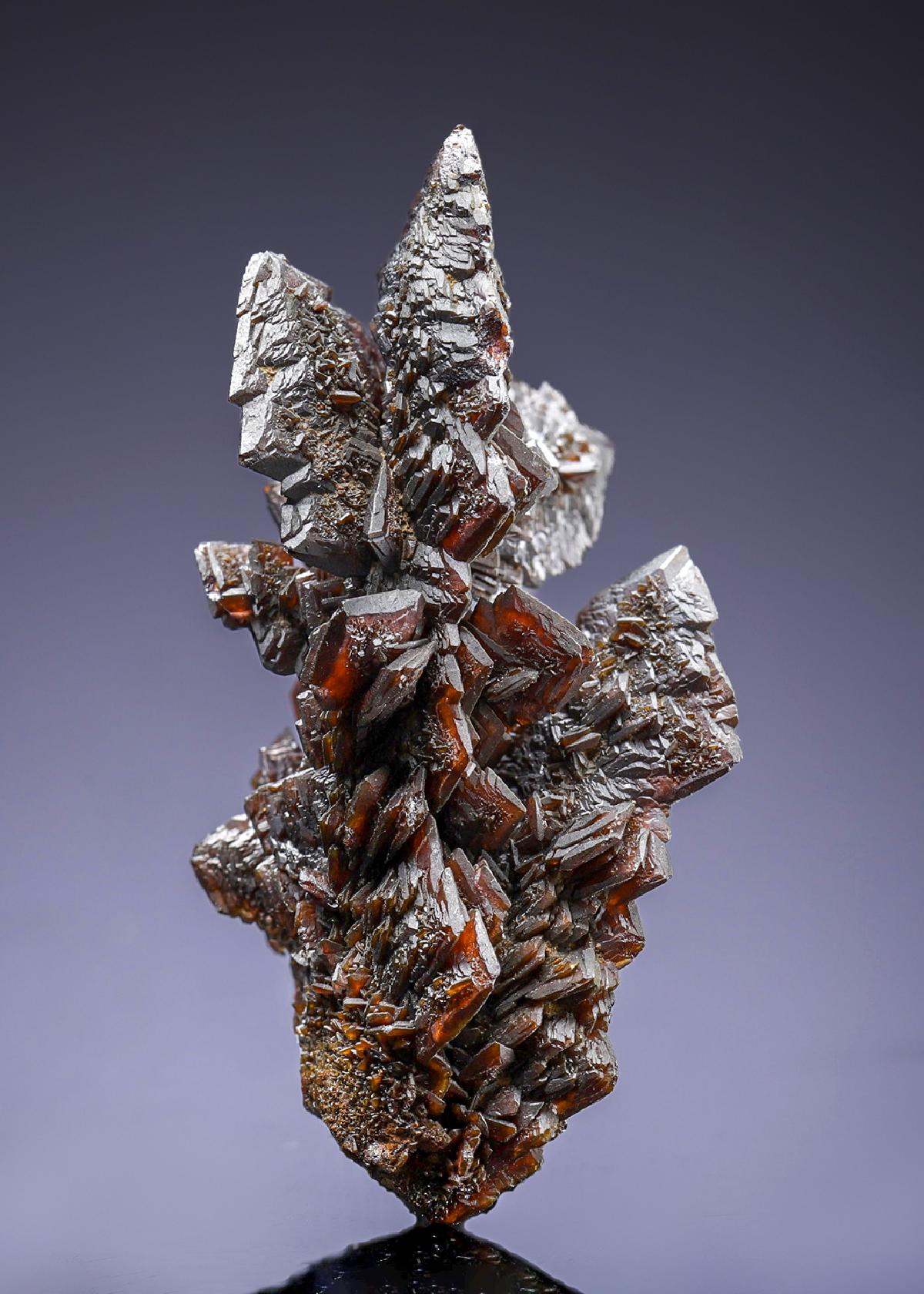 CC34203 specimen image