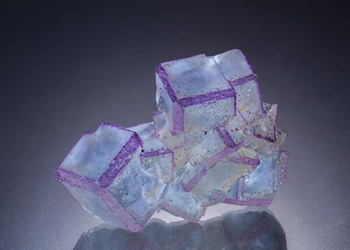 CC34301 specimen image