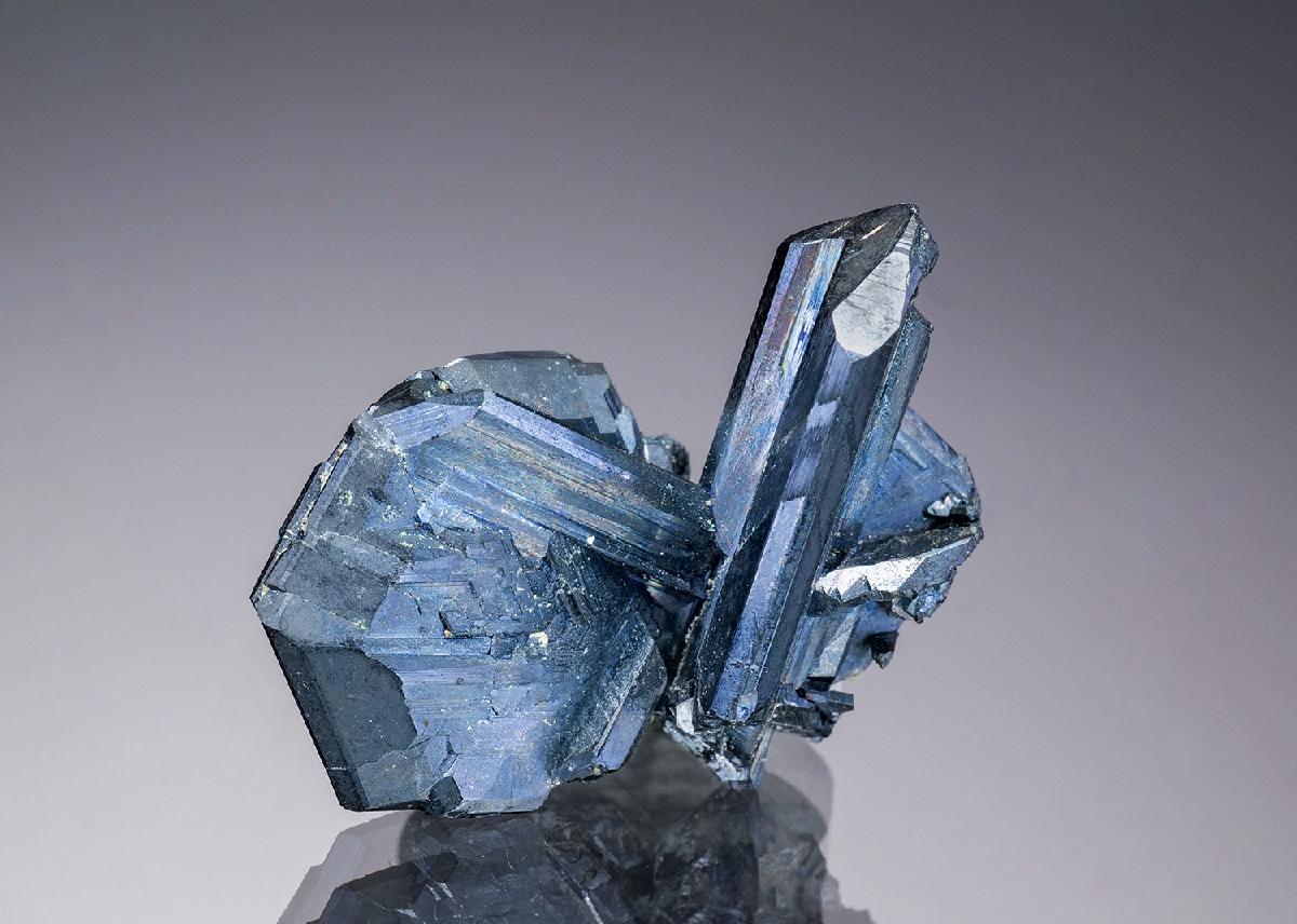 CC34416 specimen image