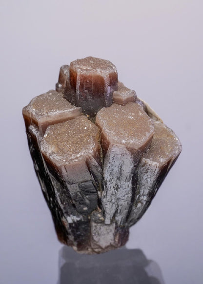 CC34454 specimen image